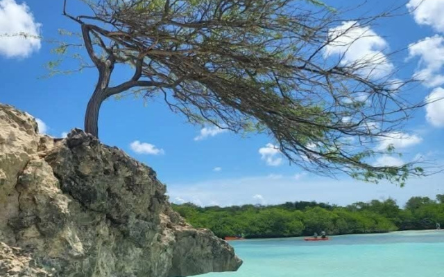 Peace vacations rental aruba