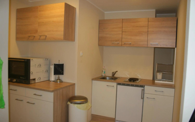 Vienna City Loft Apartment