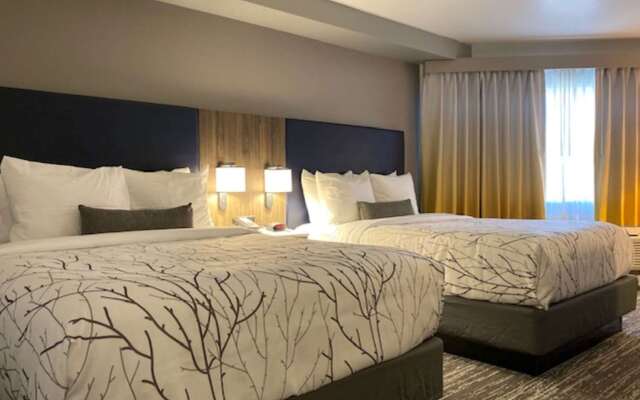 The Timbers An All Suite