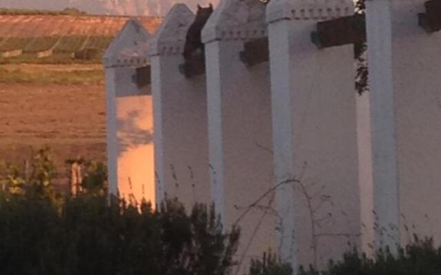 Jacaranda Wine And Guestfarm