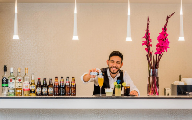 Hotel Viza