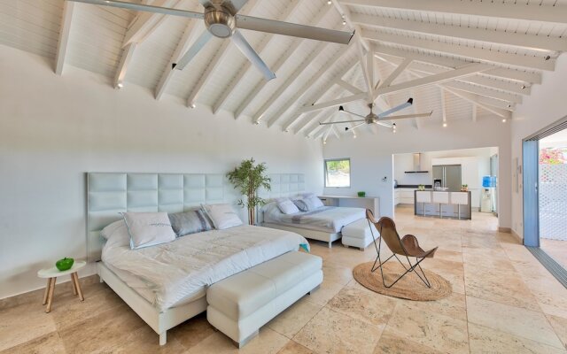 Swanky Caribbean Estate, Ocean Views, Heated Pool, AC, Free Wifi, Ping Pong, Pool Table