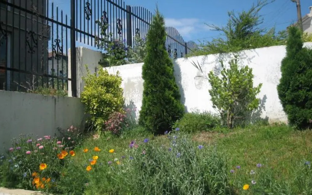 Belvedere Guest House