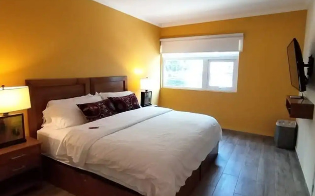 Arquimedes Patio I Luminous 1BR in Polanco