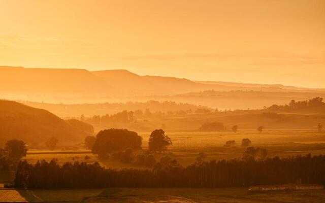 Midlands Saddle and Trout