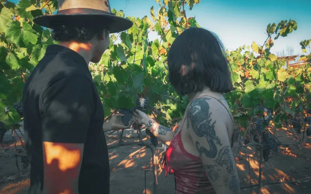 Brisa Del Valle Hotel Boutique