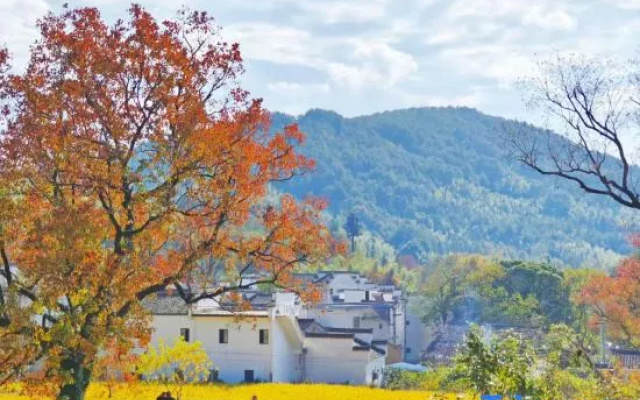 Taiping Yunzhu Characteristic Homestay – Outside – Huangshan