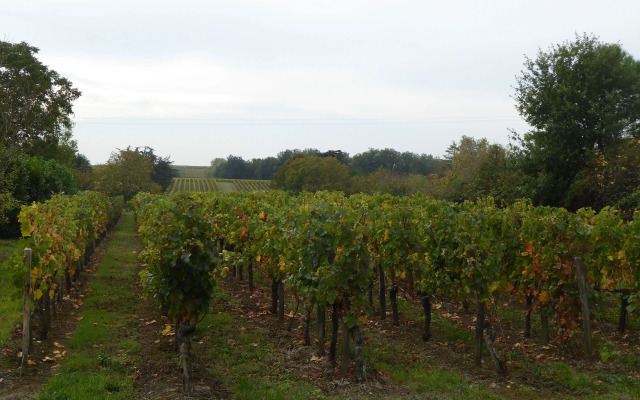 La Vigneraie de Laura