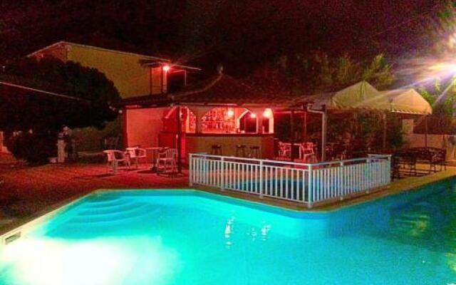 Zante 523