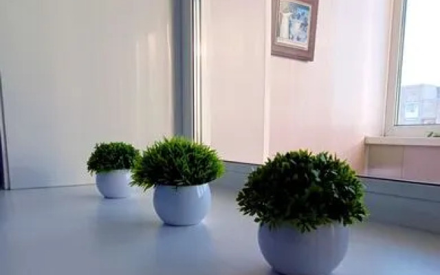 Апартаменты Татьянин Дом на ул. Советской, 34