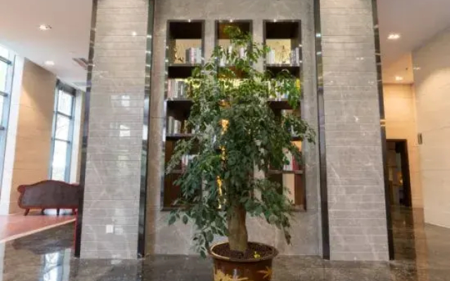 shanghai satisfactory smart hotel