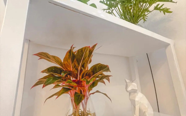 Villa 90 - Villa 86 Group