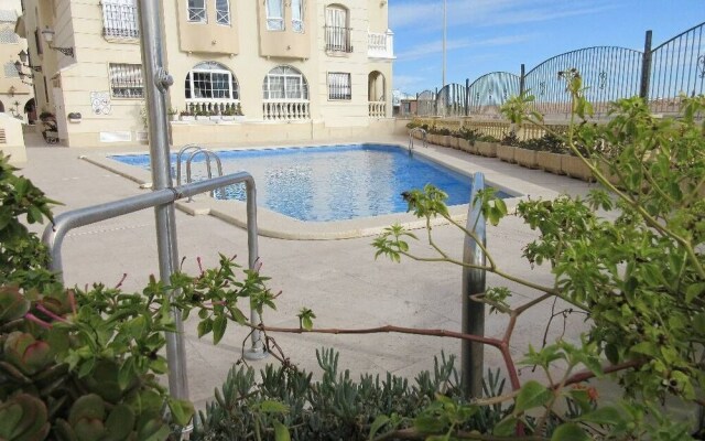 Owner Solidarity - 16