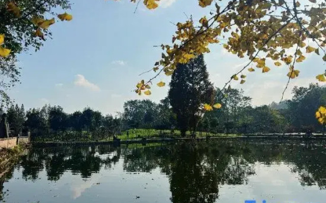 Xinghan's Date Homestay