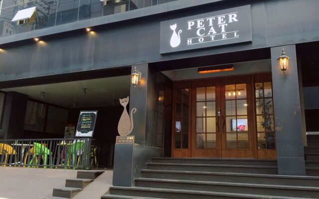 Petercat Hotel Sinchon Hongdae