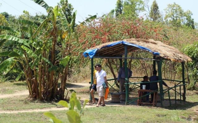 Goroomgo Whistling Woods Camp Nainital