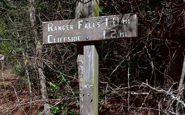 Happy Hiker