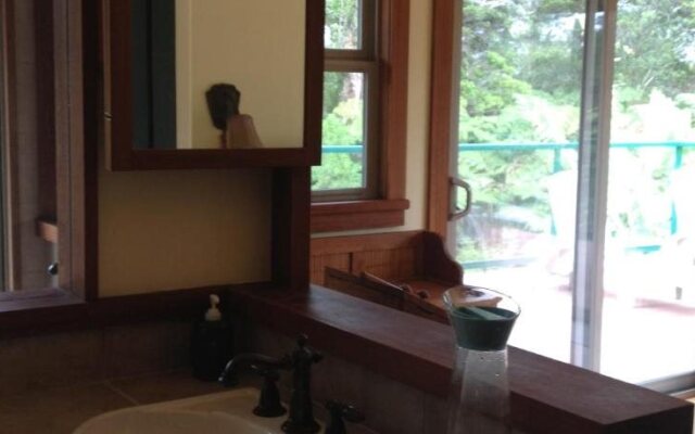 Volcano Big Tree Sanctuary