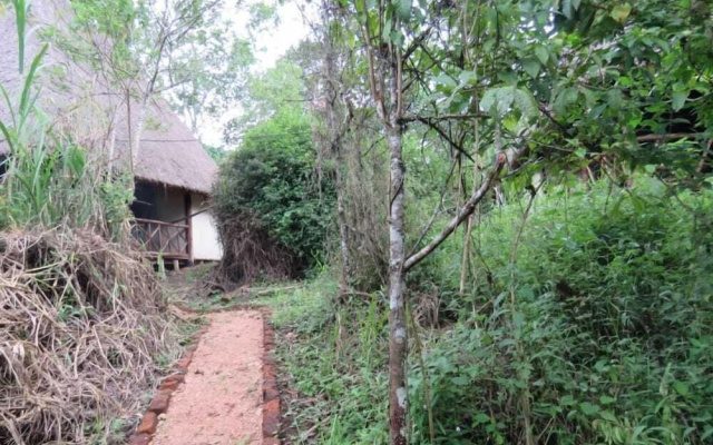 Jungle lodge Kibale