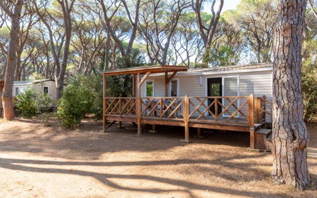 Superior Lodge in Grosseto
