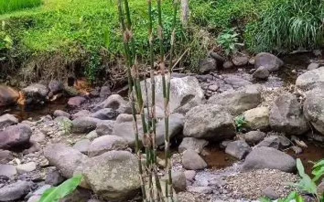 Ranggon d'tukad