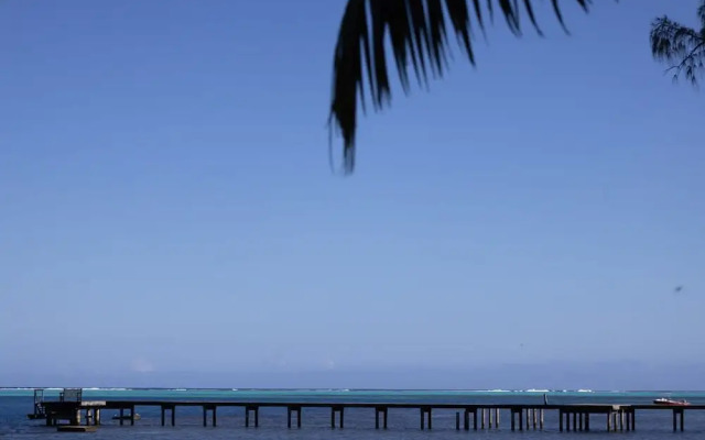 Fare Hani in Moorea-maiao