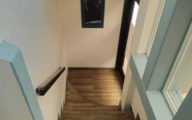 Hostal Flightless Cormorant