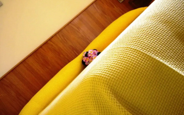 Hotel Albergo Al Milano