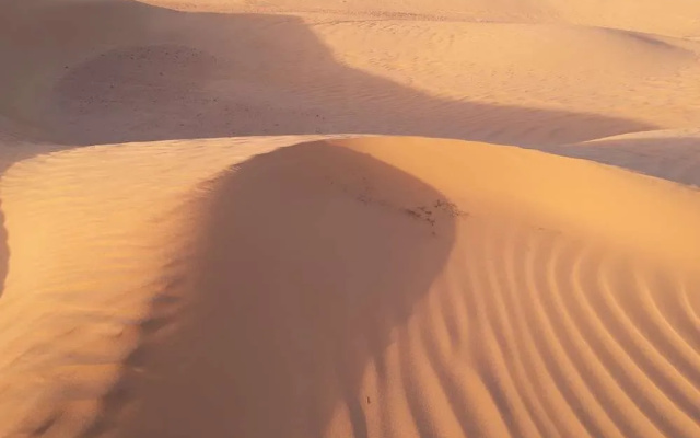 Le Chant Du Sable