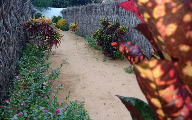 Sunset Safari & Resort