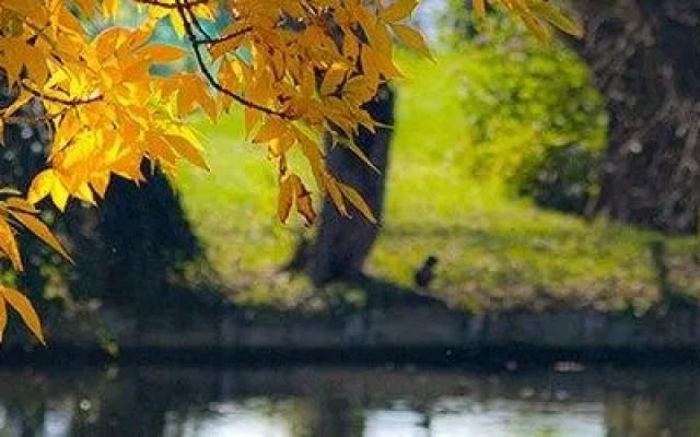 Votre maison à Amiens