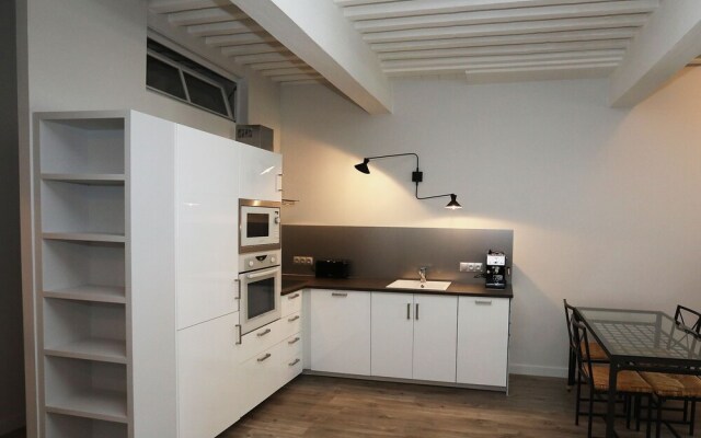 Annecy downtown 55 m2 Apart with big terrace