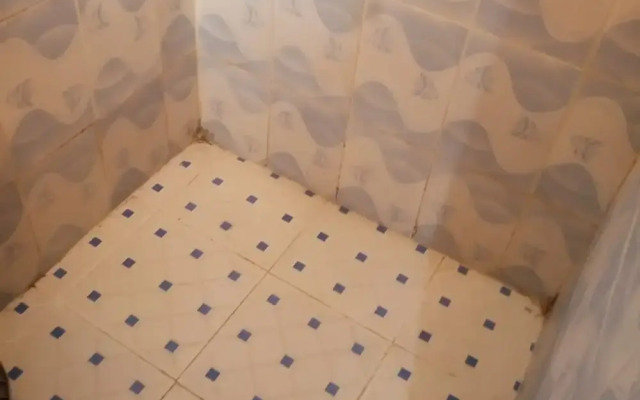 Palace Royal Lodge - Adults Only