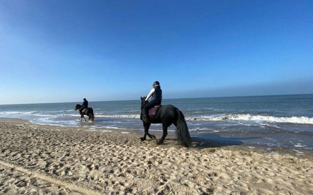 Näher am Wasser kann man nicht wohnen!