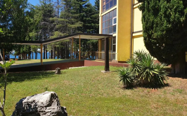 Youth Hostel Pinesta