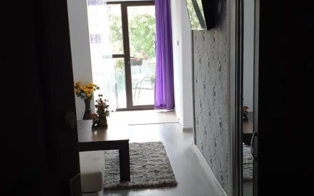 Apartament Razvan