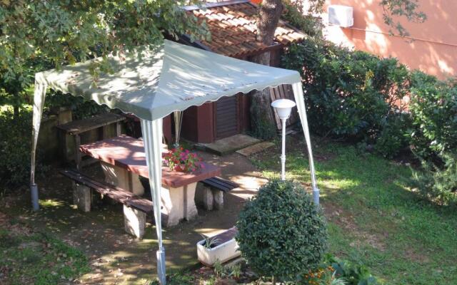 Apartment Branko