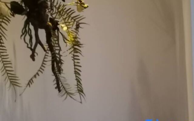 Yuansu City Guesthouse