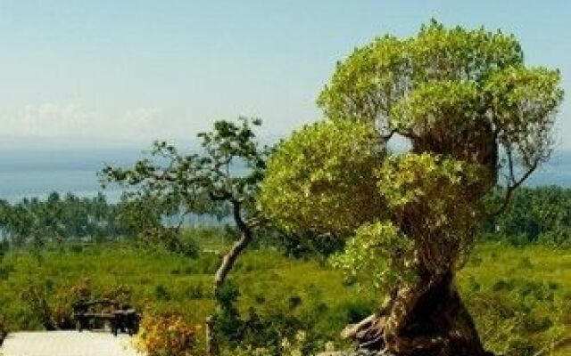 Sarangani Highlands Garden