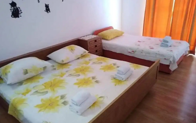 Apartments Miocic