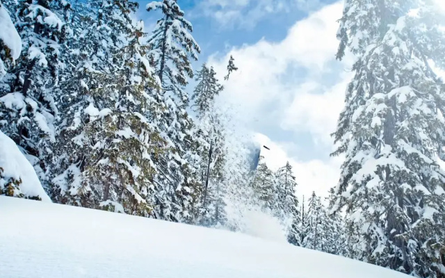 Scenic Apartment in Neukirchen am Großvenediger near Ski Area