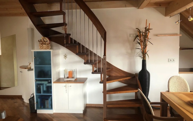 Villa Anina