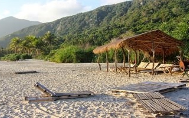 Villa Palm Breeze