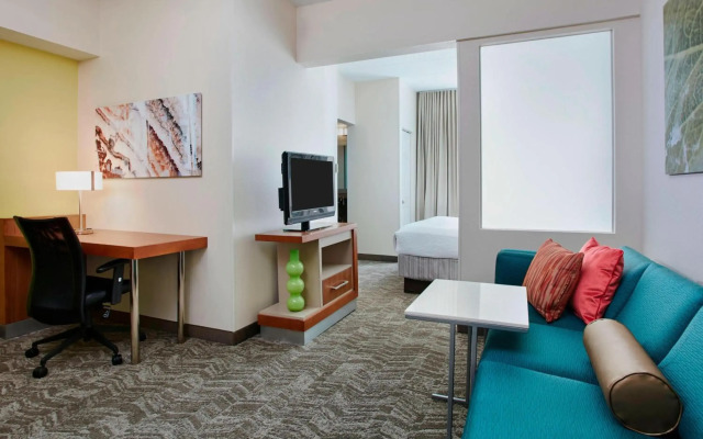 SpringHill Suites by Marriott Chicago Schaumburg/Woodfield
