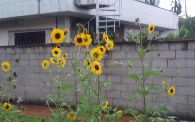 Hospedagem Navegantes