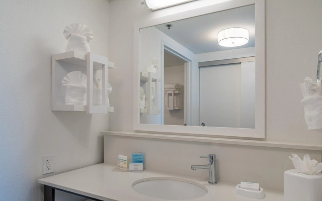 Hampton Inn & Suites Valley Forge/Oaks