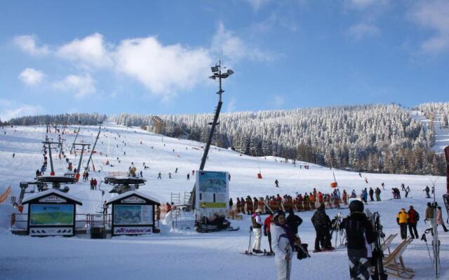 Grosse-Ferienwohnung-Ebert-Green