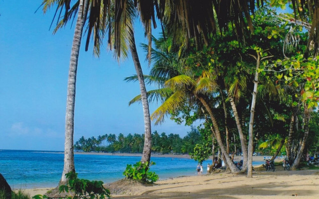 Las Terrenas Apartment