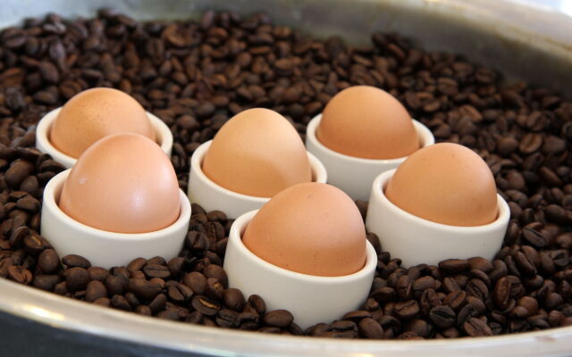 Bastion Hotel Roosendaal