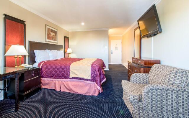 Queencity Inn